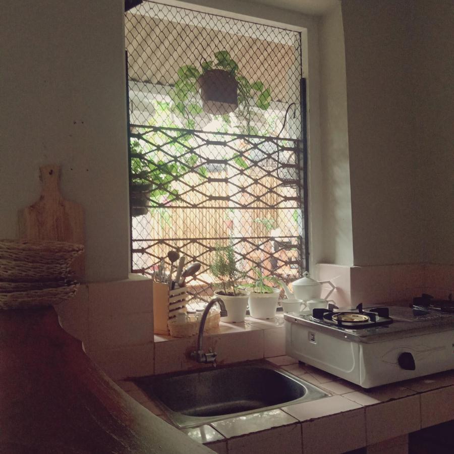 Homestay The Bloomy House *